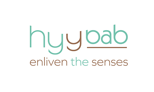 Hyybab Partner Page Logo